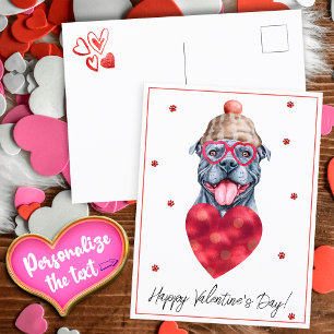 Dog Lover Valentine Gift Grey Pitbull Holiday Postcard