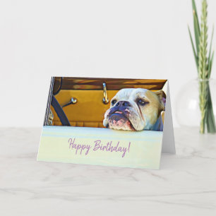 Dog Lovers Birthday Cards