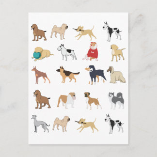 Dog Lover's Club Pattern Postcard