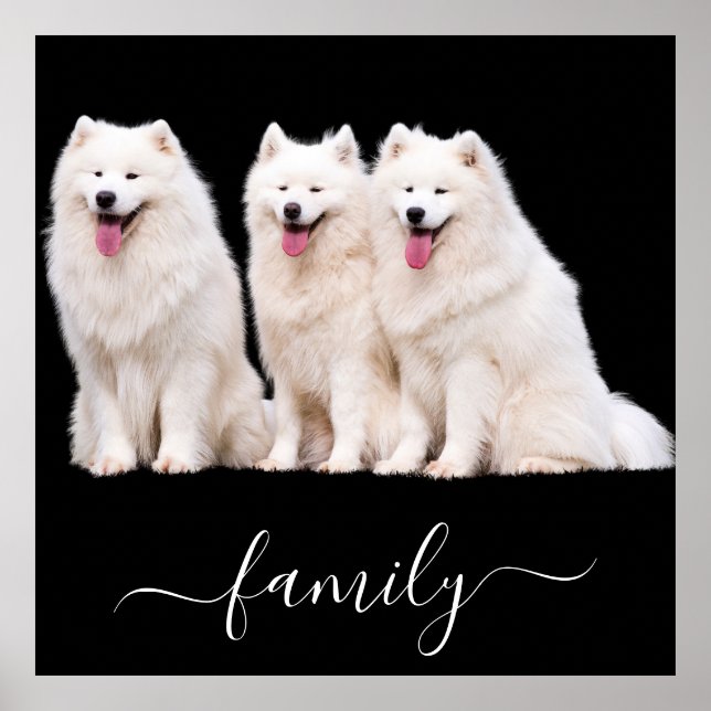 Dog lovers family photo  poster (Front)