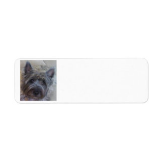 Dog Lover's Return Address Label