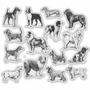 Dog Lover's Vintage Black & White Various Breeds