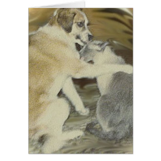 dog loves cat