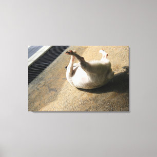 Dog lying on the floor canvas print