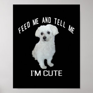 Dog Maltese Cute Maltese Dog Funny Quote Puppy Mal Poster