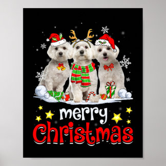 Dog Maltese Merry Christmas Cute Maltese Dog Chris Poster