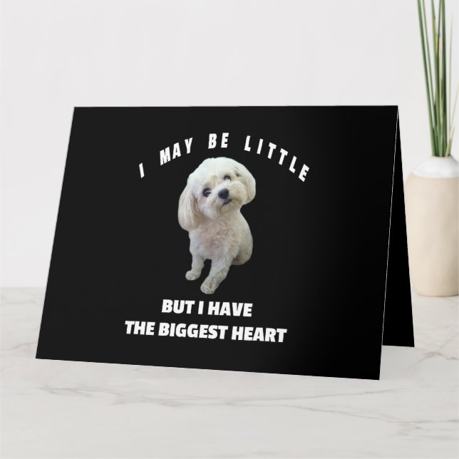 Dog Maltese Spoiled Maltese Dog Design Funny Quote Card (Front)