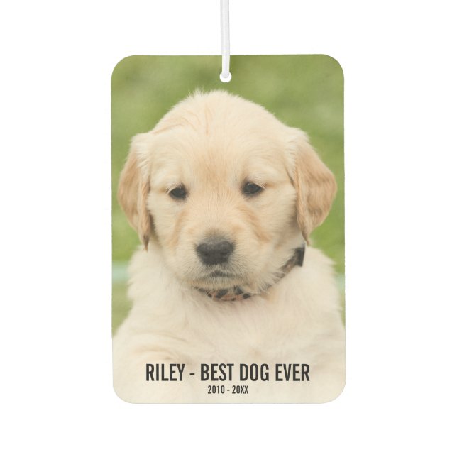 Dog Memorial, 2 Photos, Best Dog Ever, Car Car Air Freshener (Front)