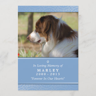 Dog Memorial 5x7 Light Blue Don't Grieve Poem Programme