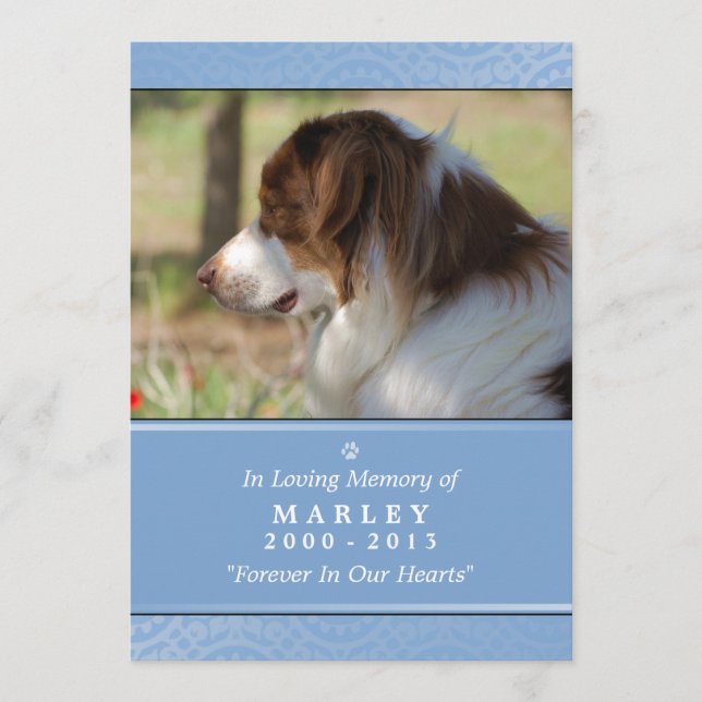 Dog Memorial 5x7 Light Blue Don't Grieve Poem Programme (Front)