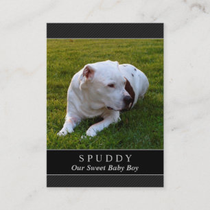 Dog Memorial Card - Modern Black Photo Card