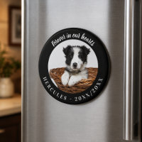 Dog Memorial Forever In Our Hearts Black