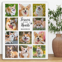 Dog Memorial Forever In Our Hearts Photo Collage