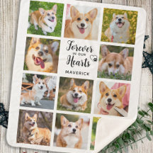 Dog Memorial Forever In Our Hearts Photo Collage