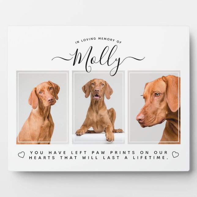 Dog Memorial Gift - Pet Loss 3 Photo Collage White Plaque (Front)
