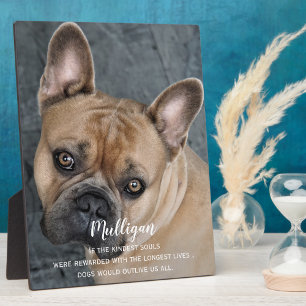 Dog Memorial Gift -Pet Loss Keepsake -Dog Sympathy Plaque