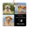Dog Memorial Pet Loss Personalised 3 Photo Collage