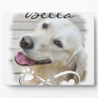 Dog Memorial Photo Paw Heart Infinity Keepsake