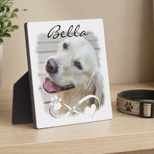 Dog Memorial Photo Paw Heart Infinity Keepsake Plaque