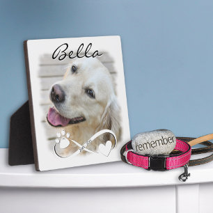 Dog Memorial Photo Paw Heart Infinity Keepsake Plaque