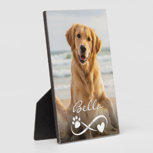 Dog Memorial Photo Paw Heart Infinity Keepsake Plaque