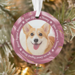 Dog Memorial Rose Gold Personalised 2 Pet Photo Ornament