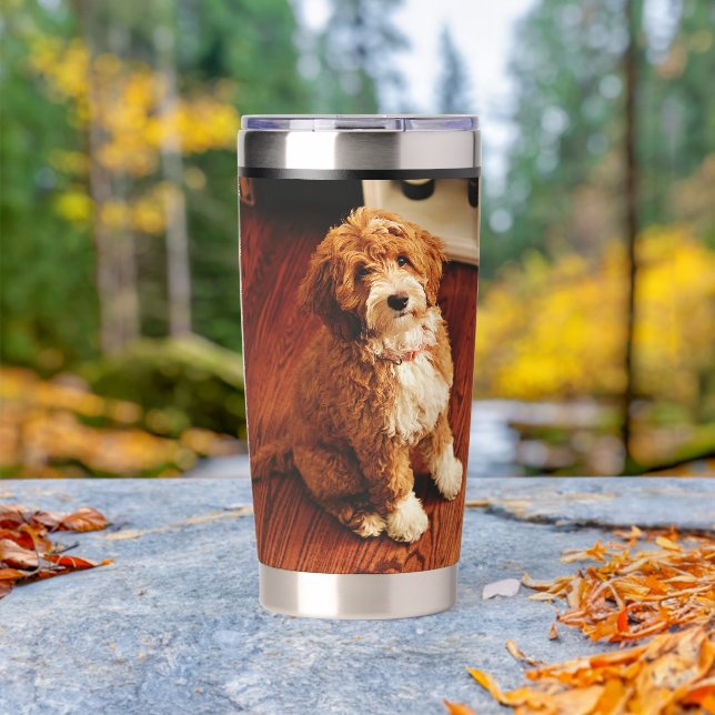 Dog Mom Pet Owner 2 Photos  Insulated Tumbler (Outdoor (Rotated))
