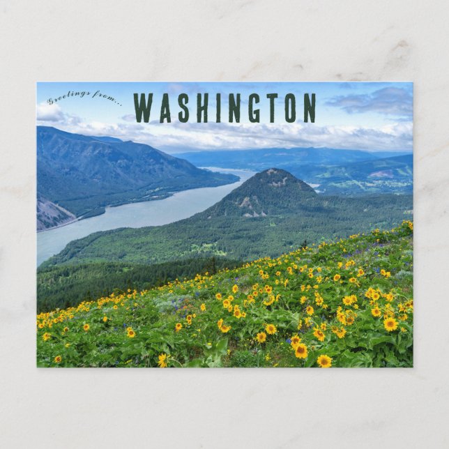 Dog Mountain Trail Cook Washington USA Postcard (Front)