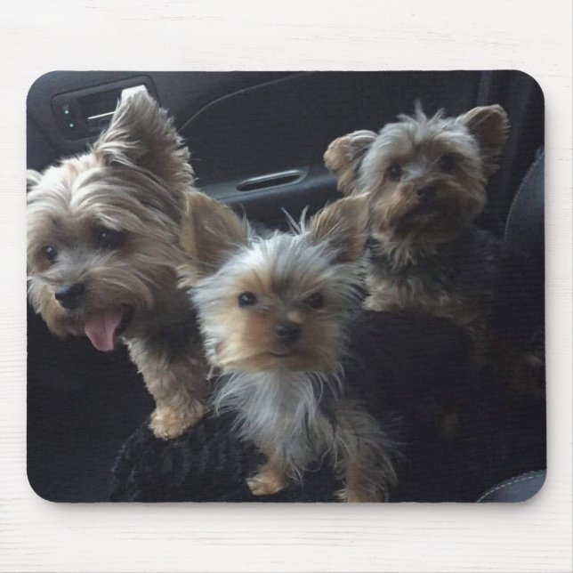 Dog Mousepad (Front)