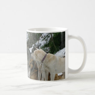Dog mug