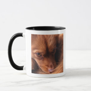 dog mug