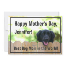Dog Mum | Happy Mother's Day