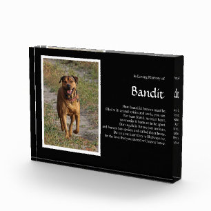 Dog Name and Photo Memorial Block