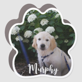 Dog Name White Script Paw Print Photo Car Magnet