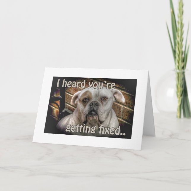 dog Neutering get well card (Front)