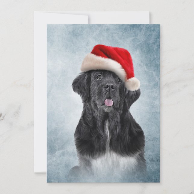 Dog Newfoundland in red hat of Santa Claus Invitation (Front)
