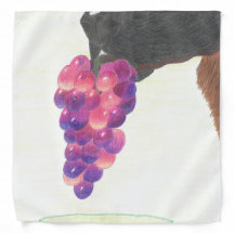 Dog nose and grape