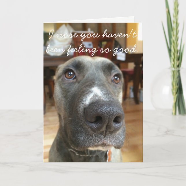 Dog Nose Get Well Card (Front)
