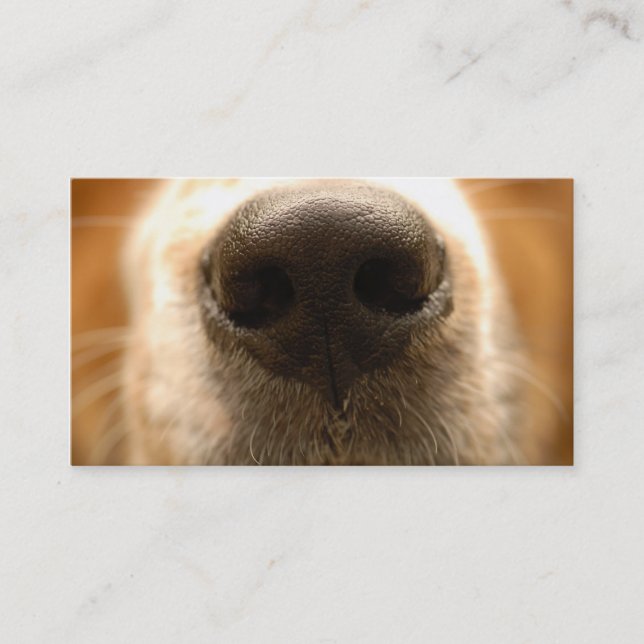 dog nose veterinary business card (Front)