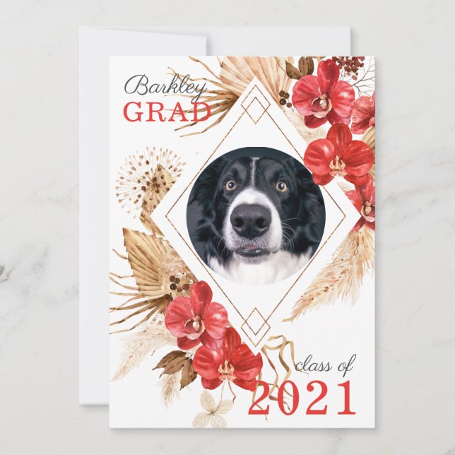 Dog Obedience Class Graduation  Announcement (Front)