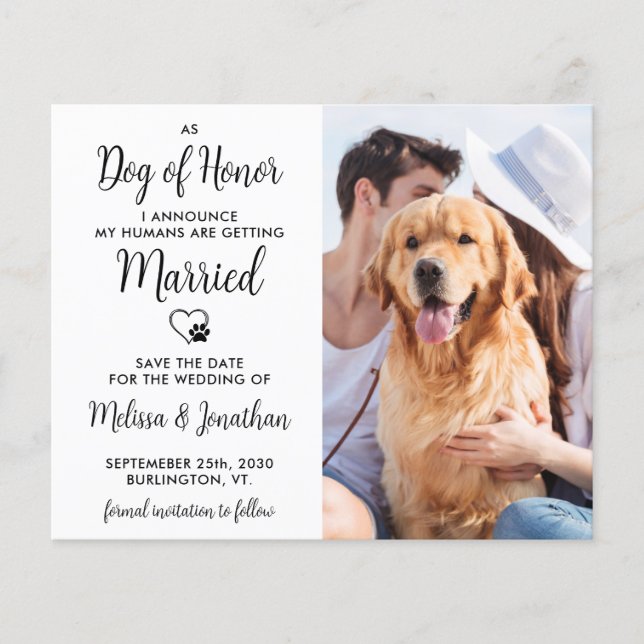 Dog Of Honour Budget Wedding Save The Date Postcar (Front)