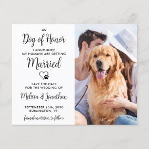 Dog Of Honour Budget Wedding Save The Date Postcar