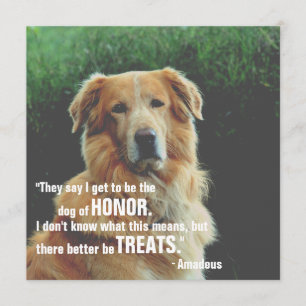 Dog Of Honour Funny Pet Save The Date