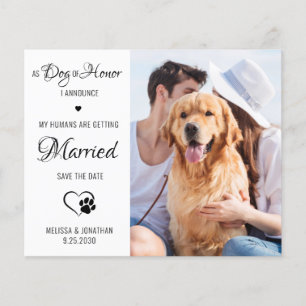 Dog Of Honour Pet Photo Dog Save The Date Cards