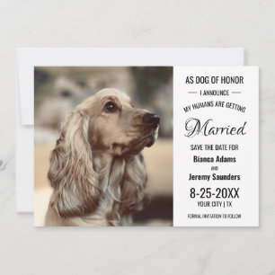 Dog of Honour Pet Photo Wedding Save The Date