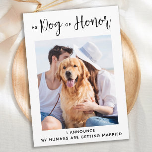 Dog of Honour Pet Wedding Dog Save The Date