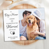 Dog Of Honour Pet Wedding Photo Save The Date