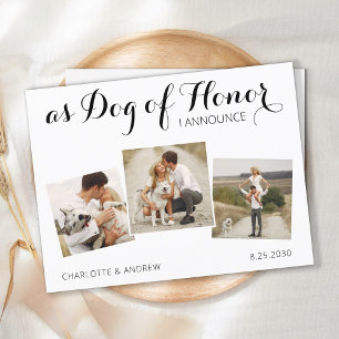 Dog Of Honour Photo Pet Wedding Save The Date Announcement Postcard