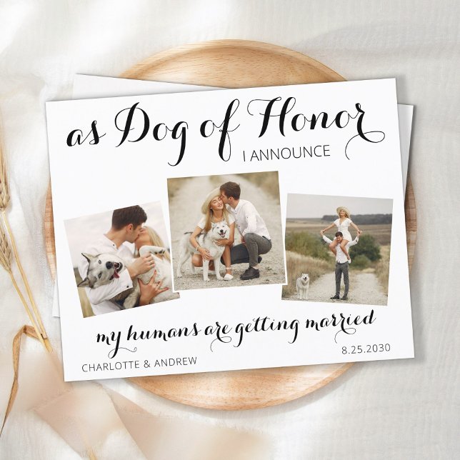 Dog Of Honour Wedding Save The Date Postcard (Creator Uploaded)