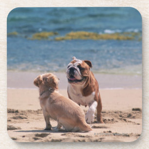 Dog of Sandy Beach Coaster